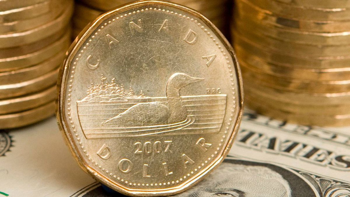 Tu-long-canada-Loonie