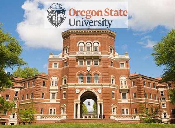 Oregon State University - Top đại học công lập hàng đầu tại Mỹ